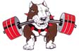 Pitbull Gym Workout Clothing for Fitness and Bodybuilding