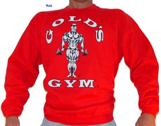 G801 Golds Gym Sweatshirt TO logo - 